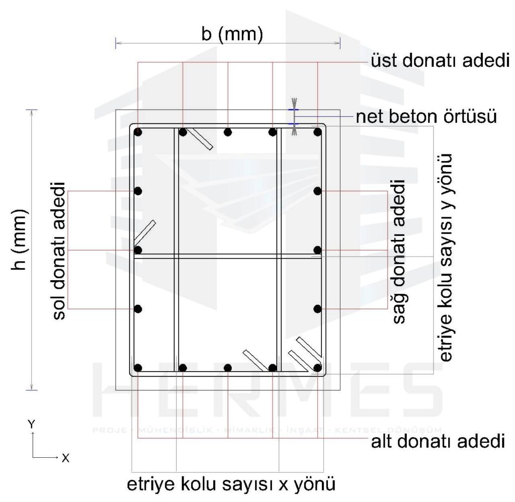 kolon kesit-mander
